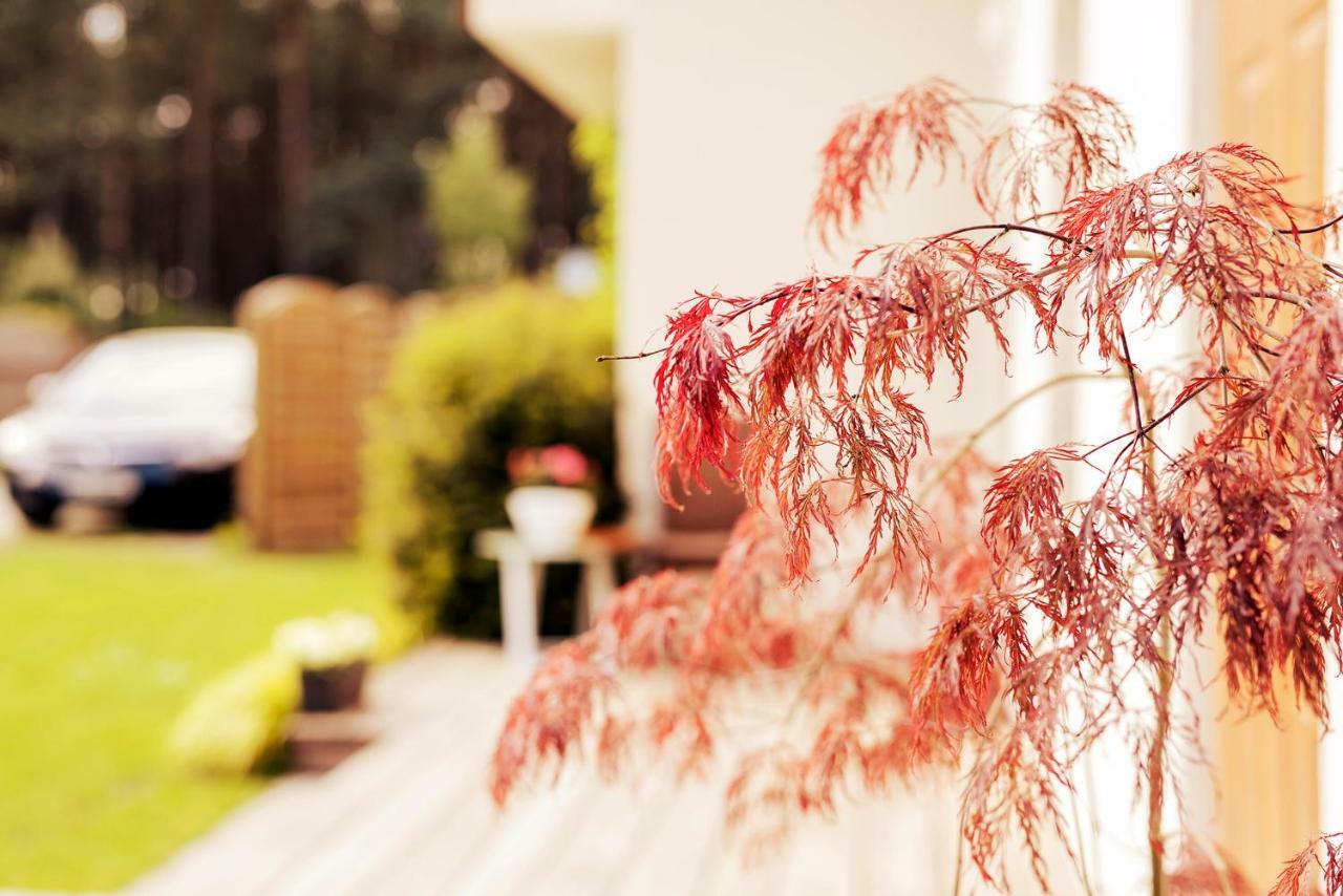 Urlop Przy Wydmach Apartment Miedzywodzie Bagian luar foto